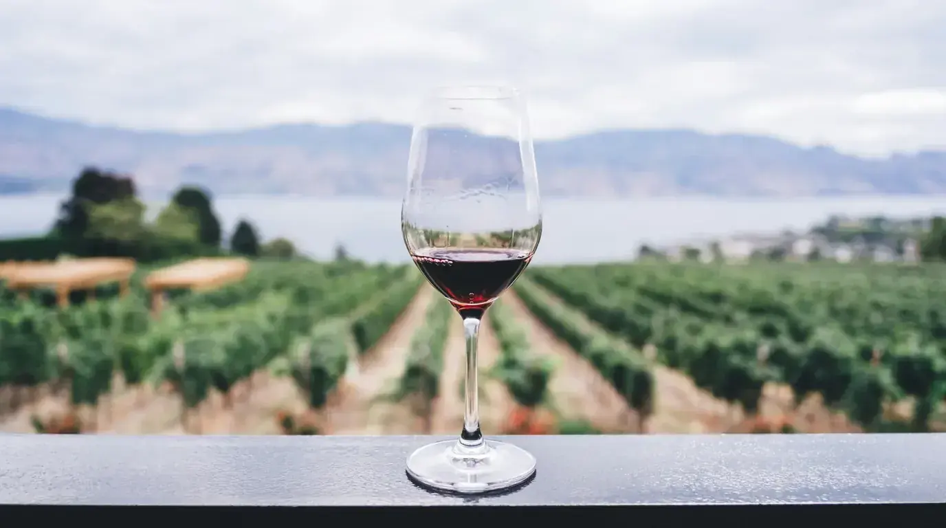 A glass of red wine on a rail above rows of vines running down to a lake